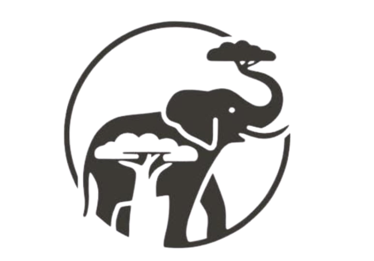 Major African Travel Logo